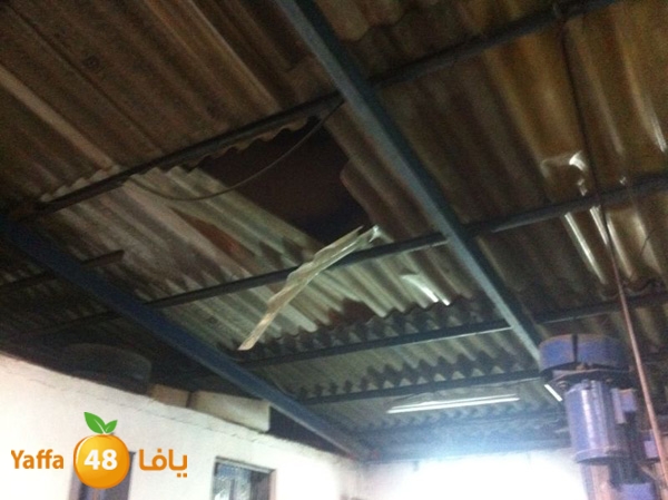 fall from apov 717 (10).jpg